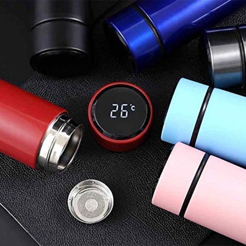 Stainless Steel Temperature Bottle